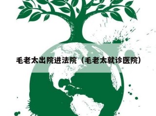 毛老太出院进法院（毛老太就诊医院）