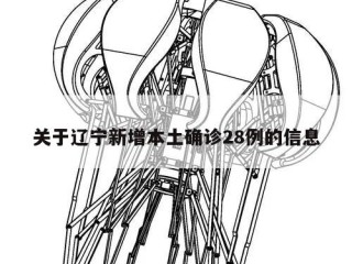 关于辽宁新增本土确诊28例的信息